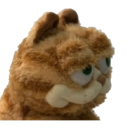 lab cat
