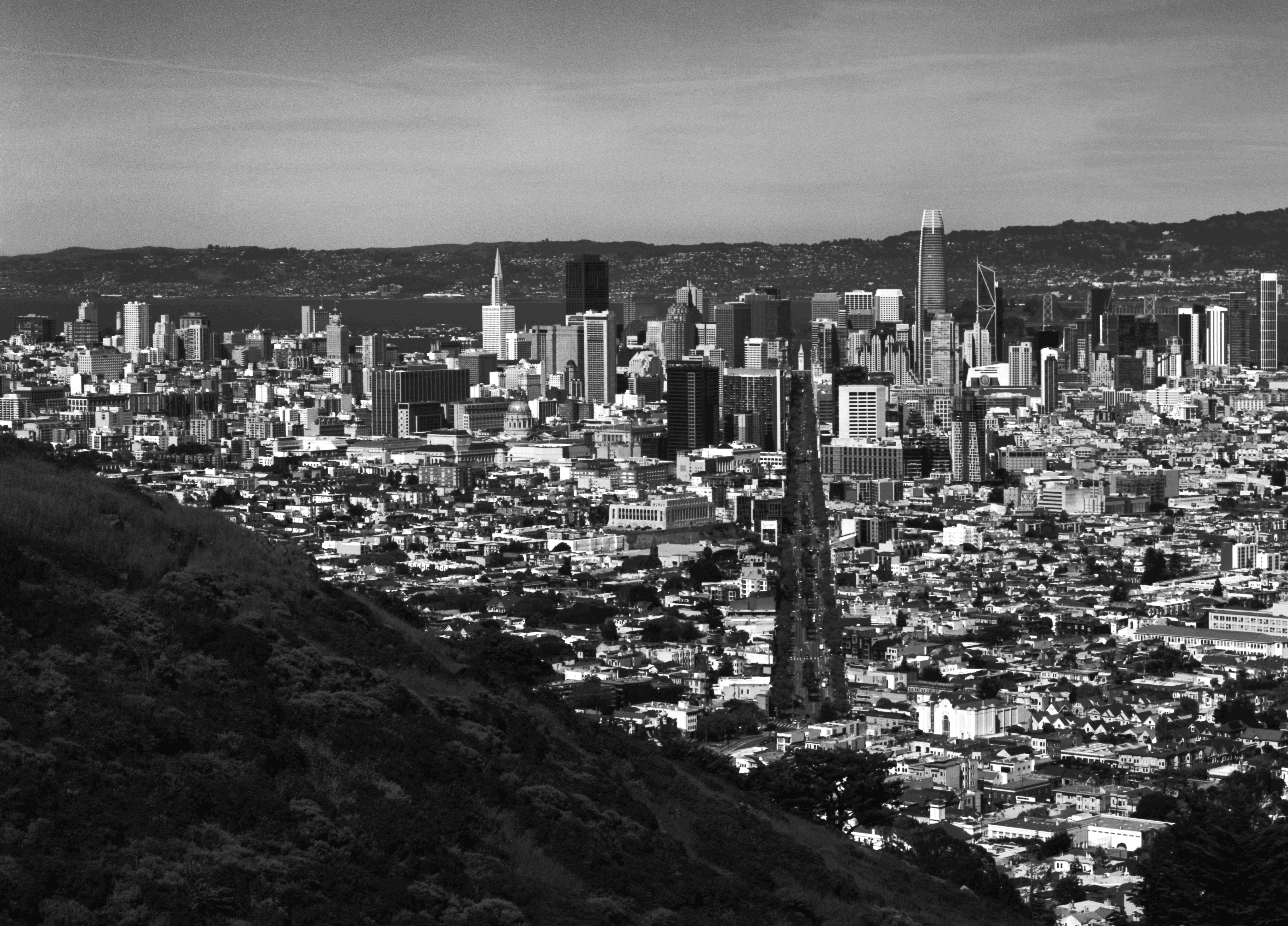 SF
